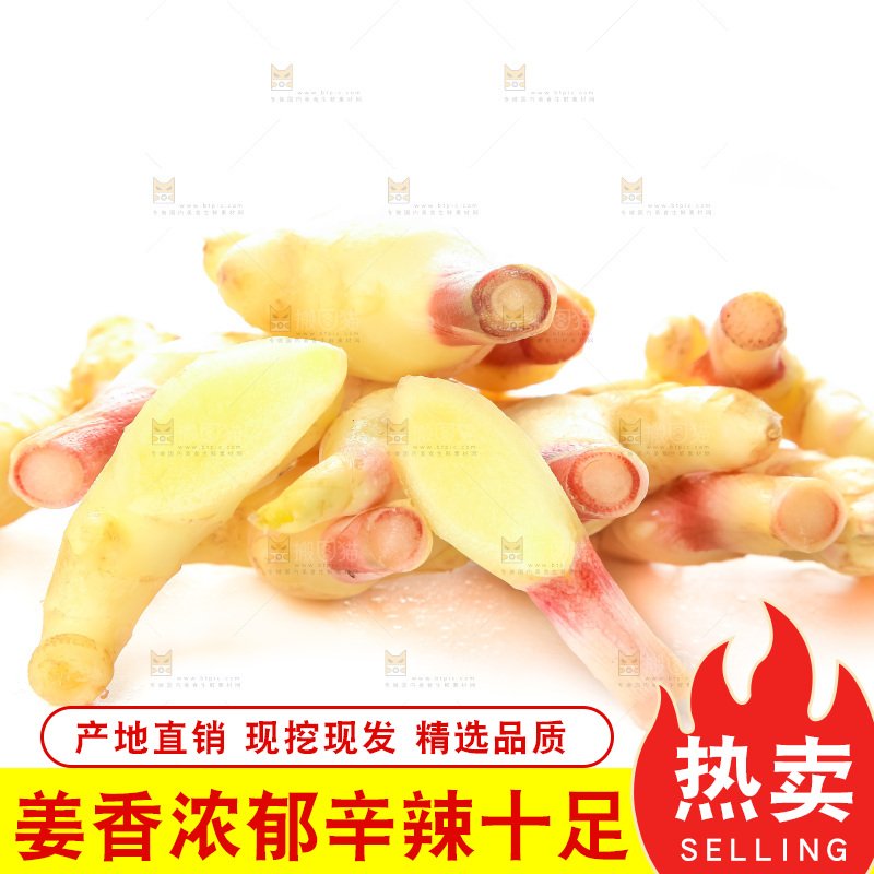 白底上的红芽嫩姜