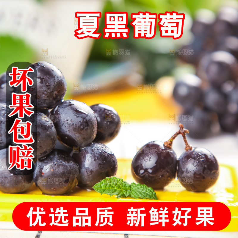 黄底上放着黑加仑葡萄