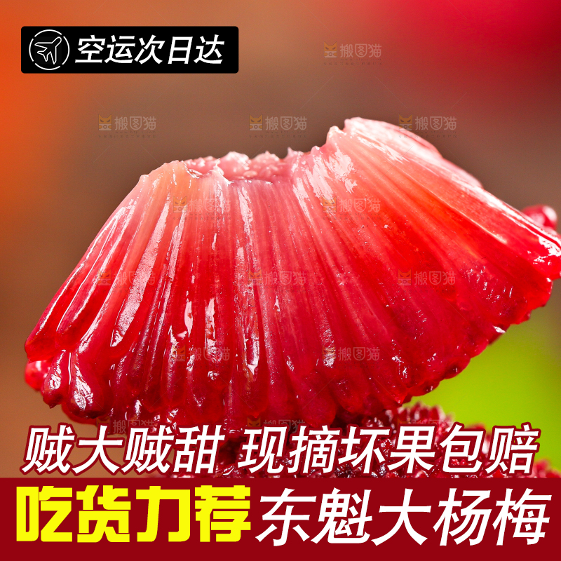 木板上摆放着东魁杨梅