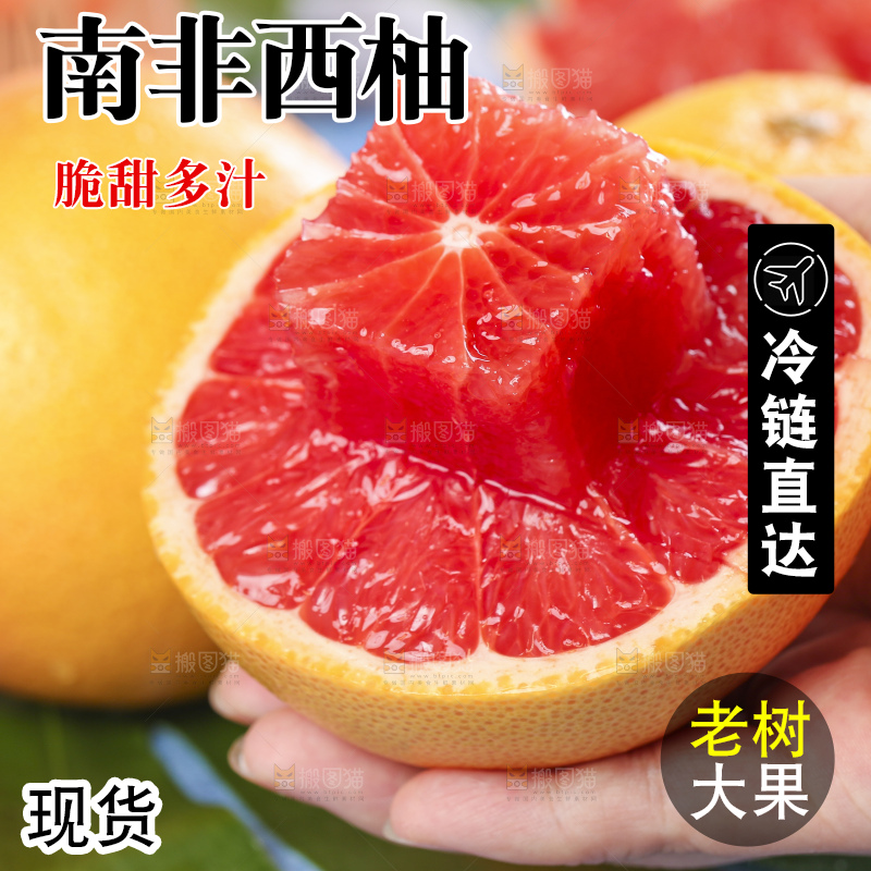 叶子上放着红西柚