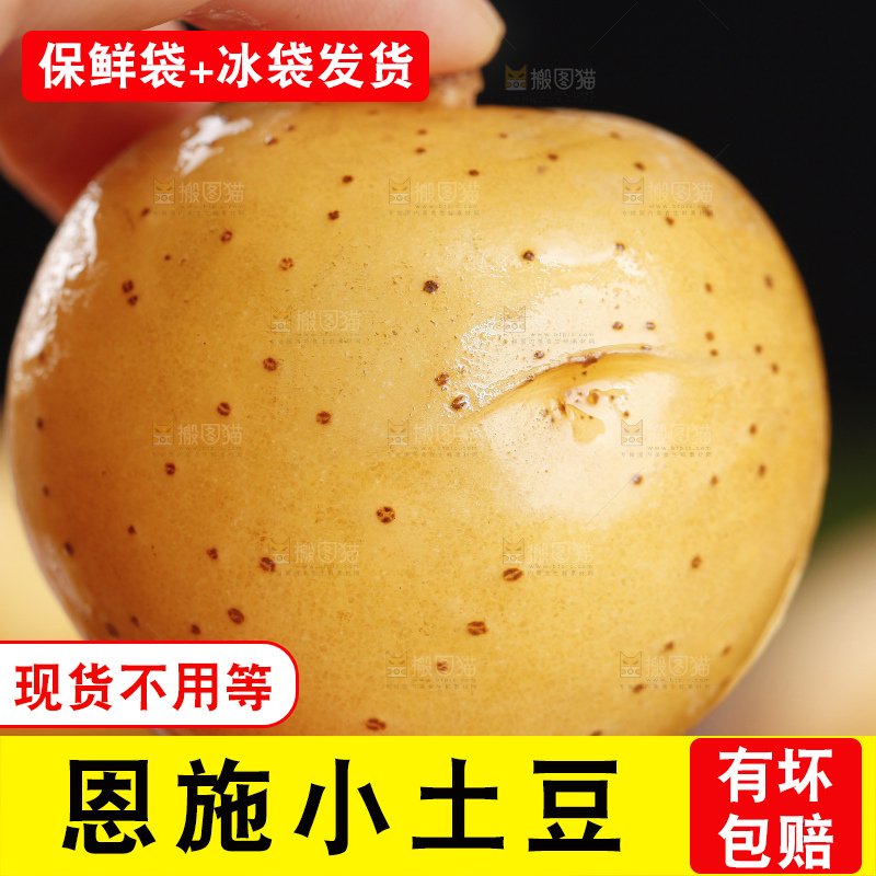 手里拿着迷你小土豆
