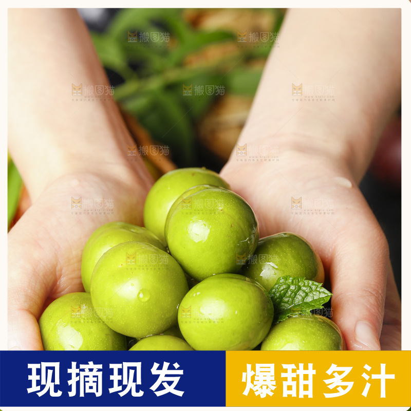 手里拿着新鲜李子