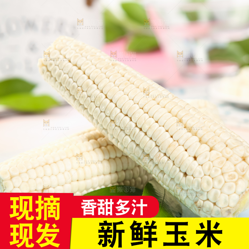 浅底上的牛奶水果玉米
