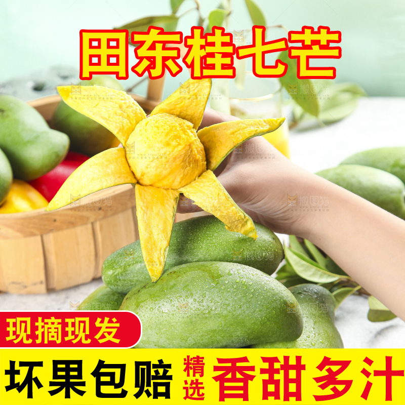 篮子里装着田东桂七芒