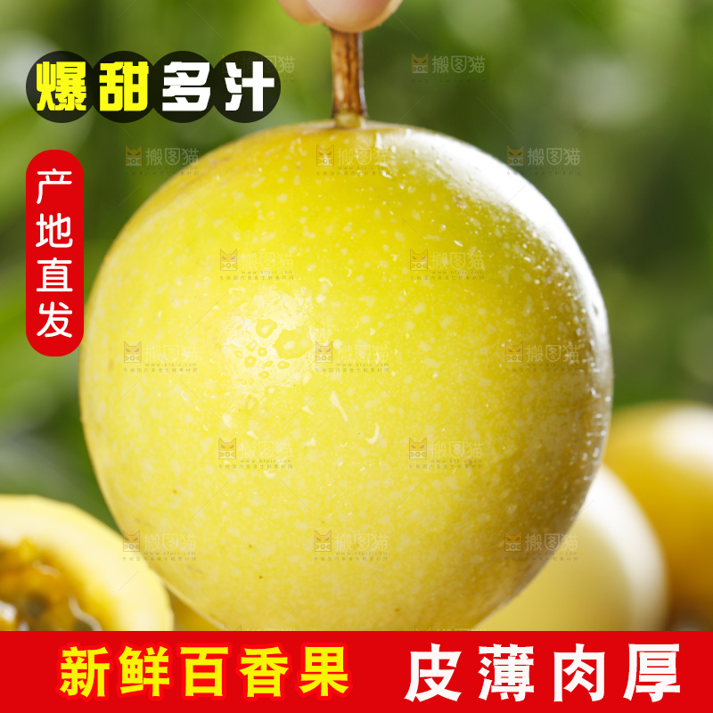 手上拿着黄色百香果