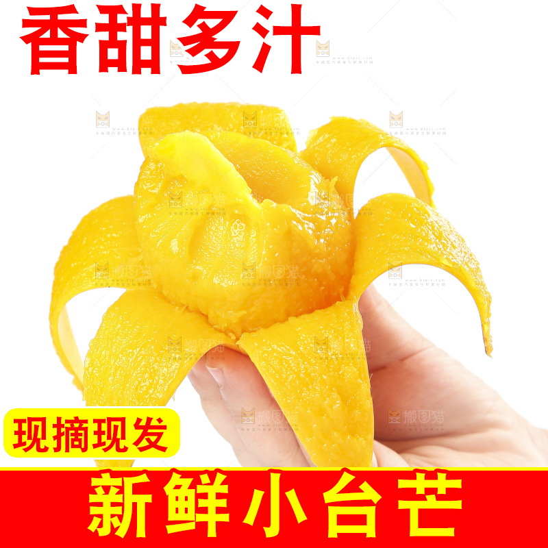 手里拿着小台农芒果肉