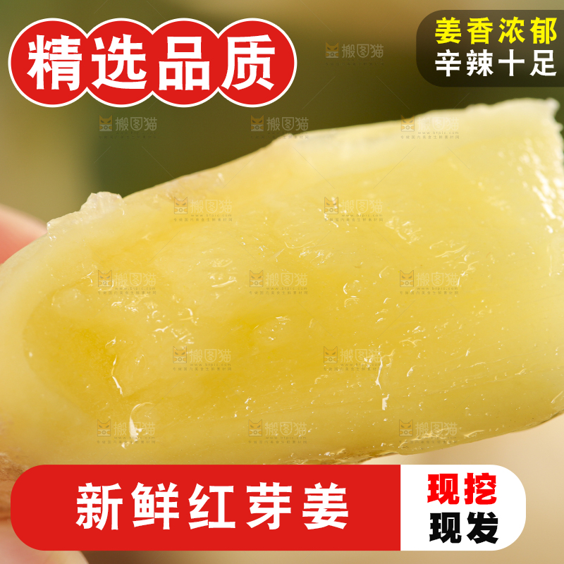 手里拿着红芽姜