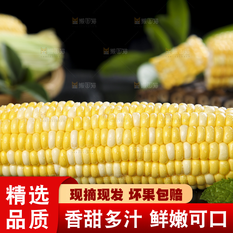 黑底上的云南水果玉米