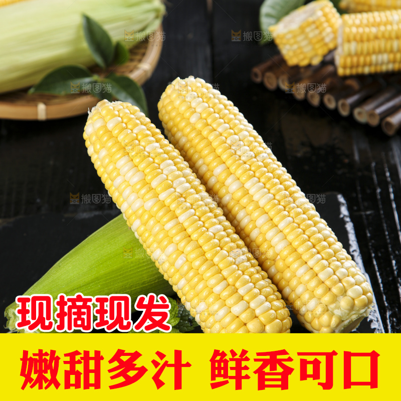 黑底上的云南水果玉米