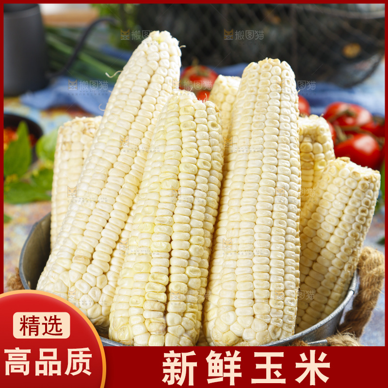桶里装着牛奶玉米