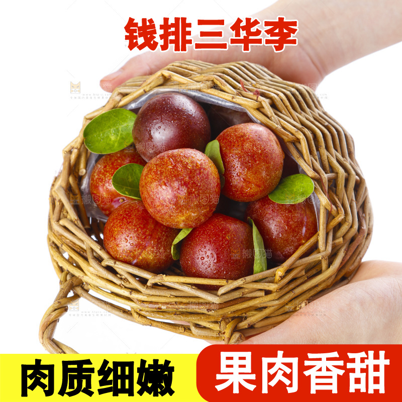 篮子里放着红肉三华李