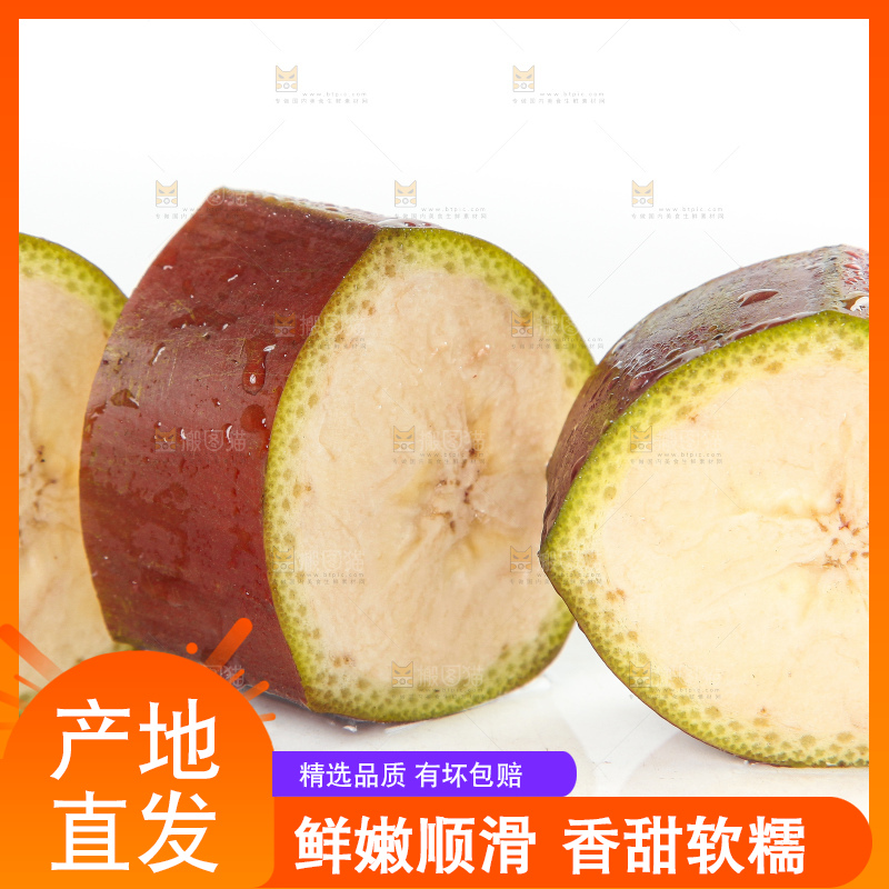 白底上的红皮美人蕉
