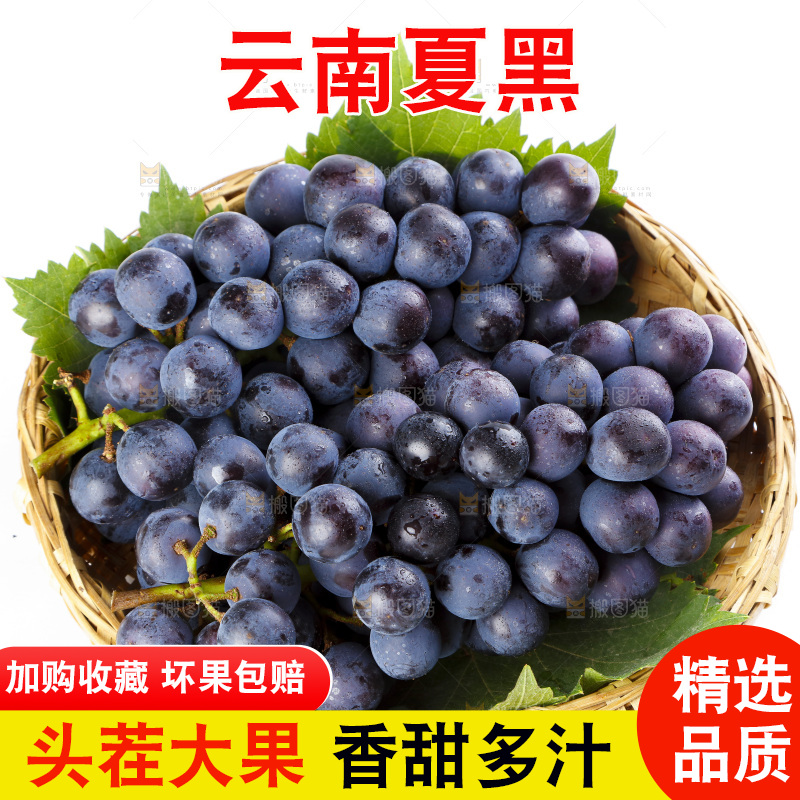 篮子里的夏黑无籽葡萄