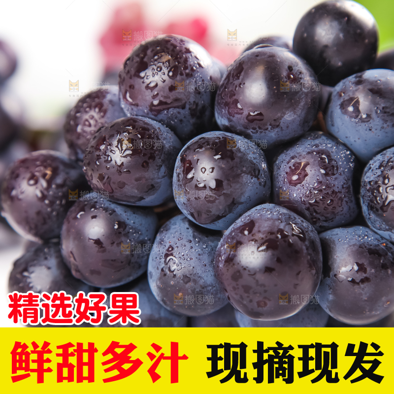 石板上的夏黑无籽葡萄