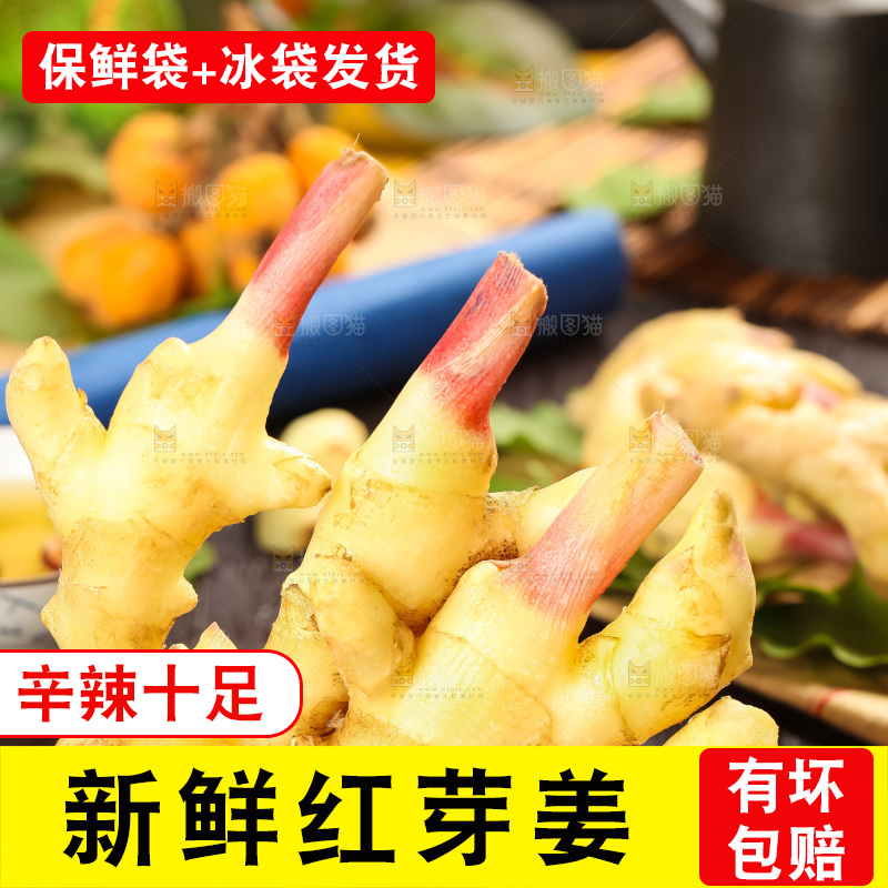 木板上的山东红芽生姜