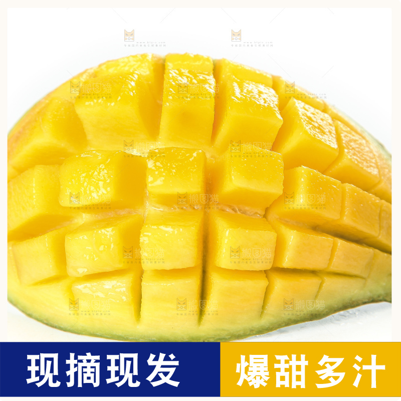 白底上的桂七香芒