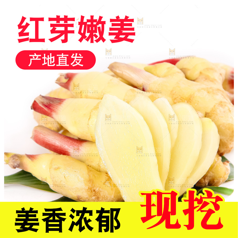 白底上的红芽姜