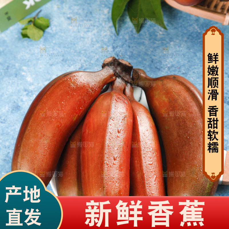 蓝底上摆放着红皮美人蕉