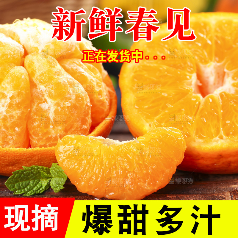 深底上放着春见橘柑