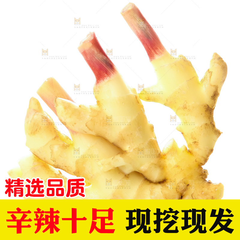 白底上的红芽嫩姜