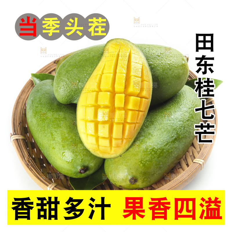 篮子里装着田东桂七芒