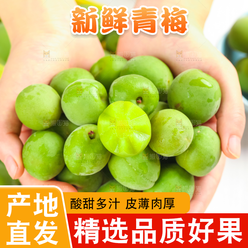 手上拿着新鲜青梅