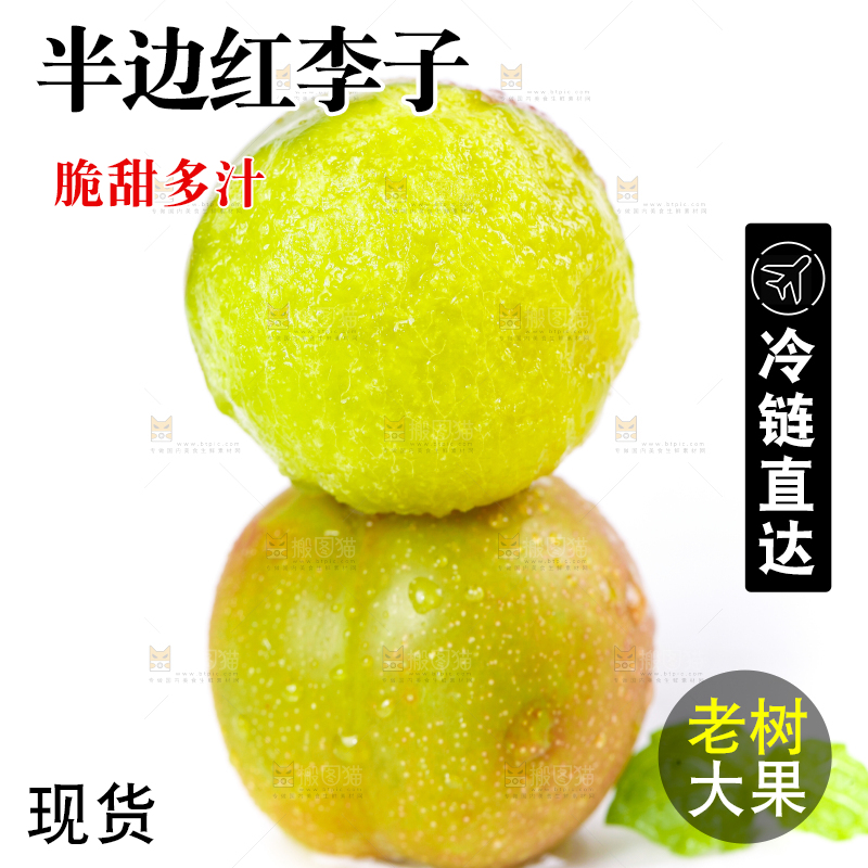 白底上的青红脆李