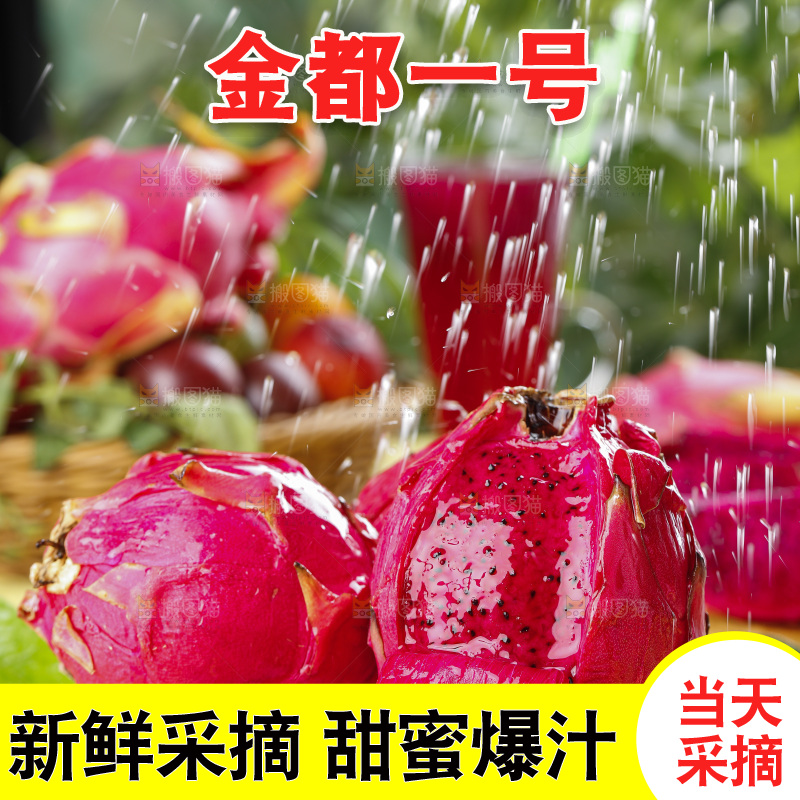 木板上的广西金都一号火龙果