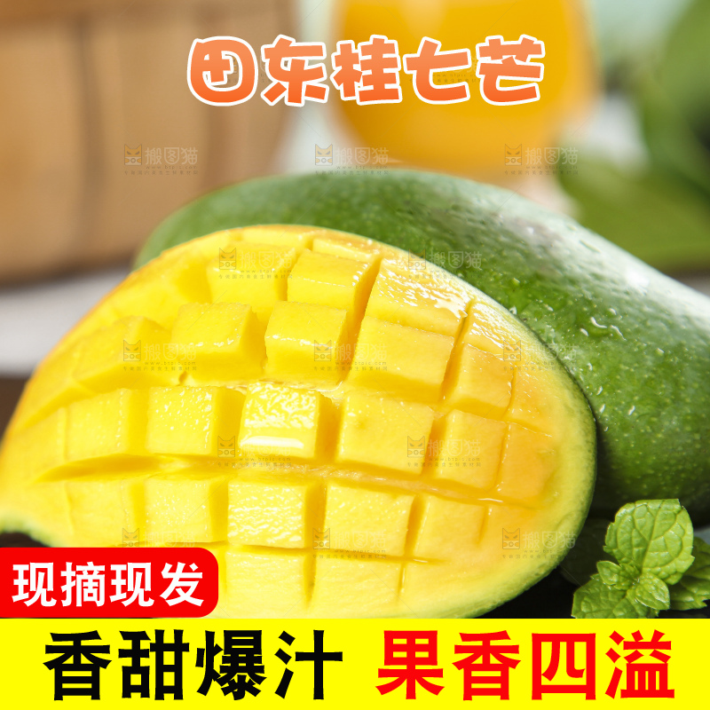 石板上的青皮桂七芒