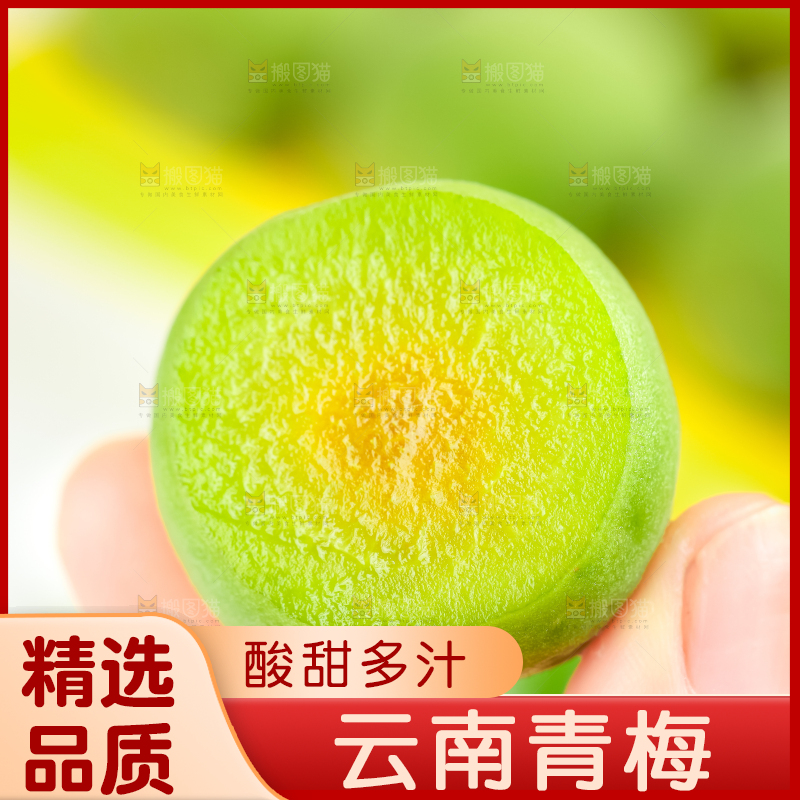 手上拿着新鲜青梅