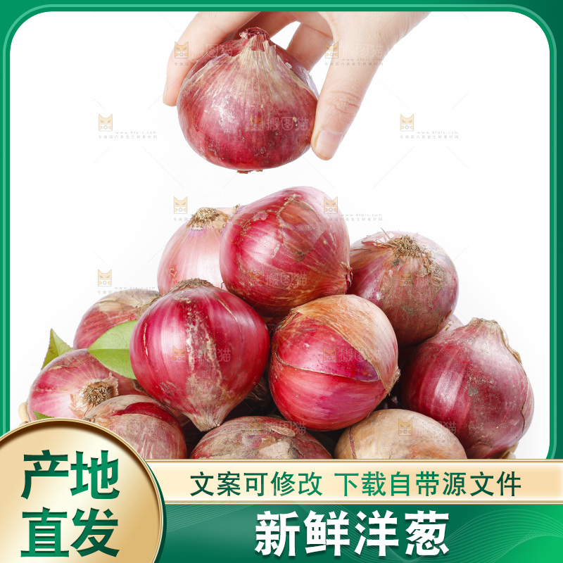 篮子里的新鲜洋葱