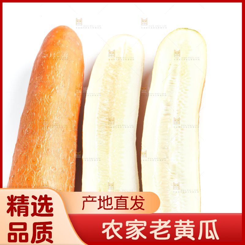 白底上的新鲜老黄瓜