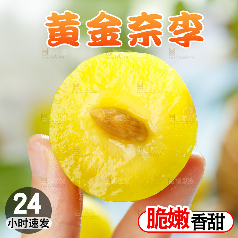 手里拿着九峰山黄金奈李