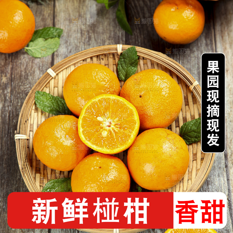 篮子里的福建永春芦柑