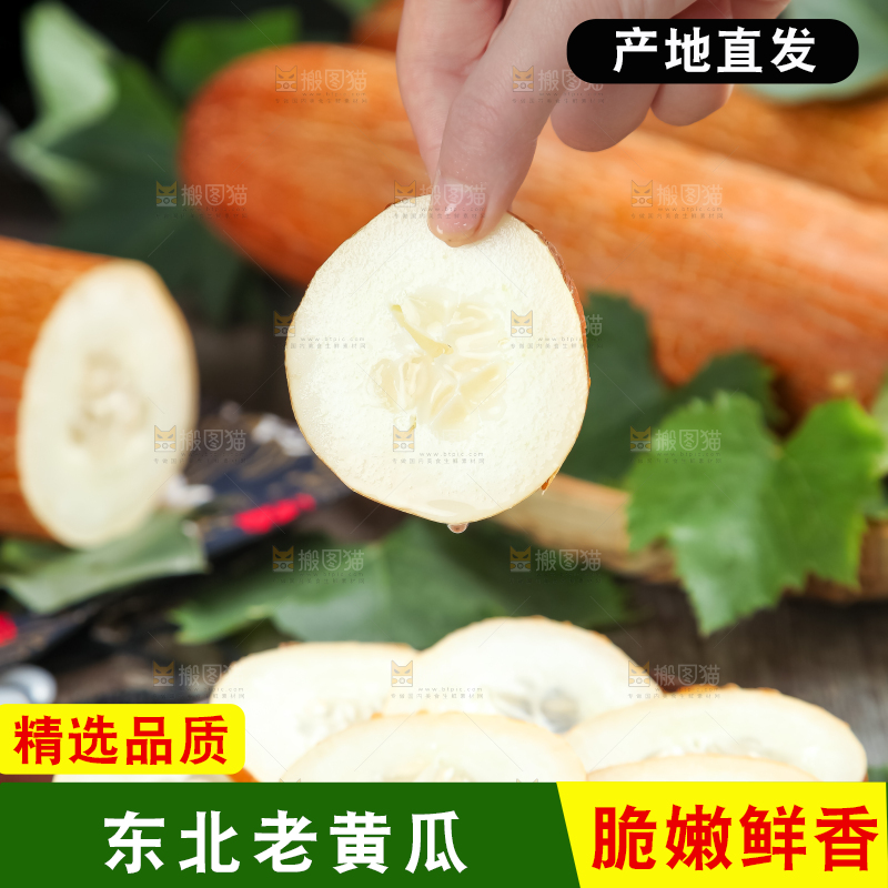 手里拿着新鲜老黄瓜