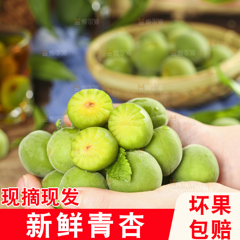 手里拿着脆酸青杏
