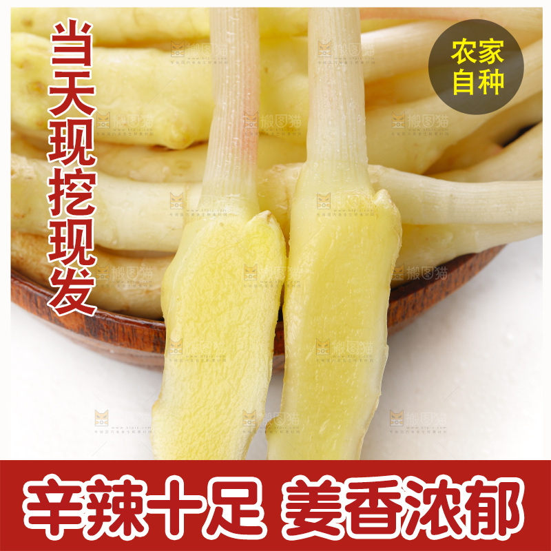 白底上的一堆新鲜生姜
