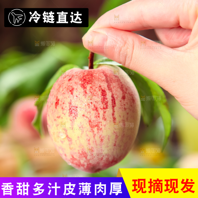 手上拿着湖北胭脂红桃子