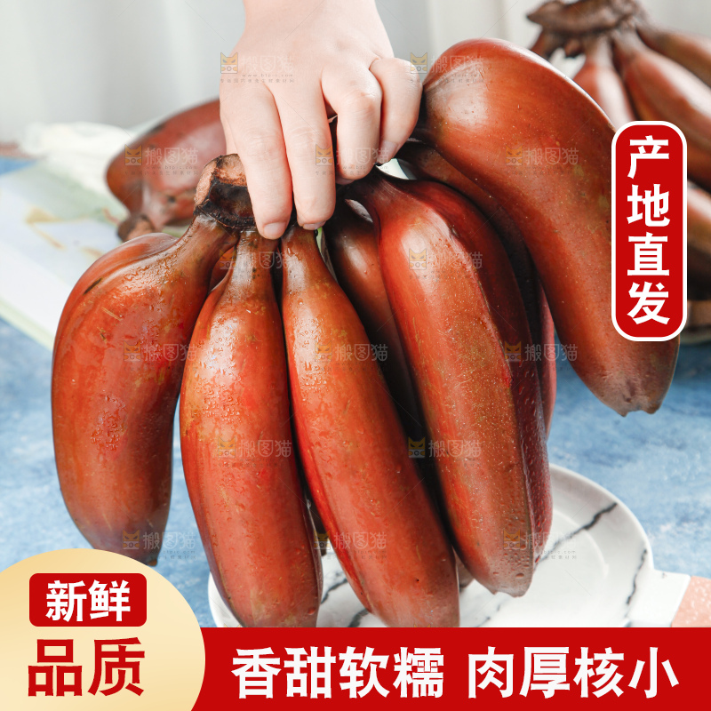 蓝底上摆放着红皮美人蕉
