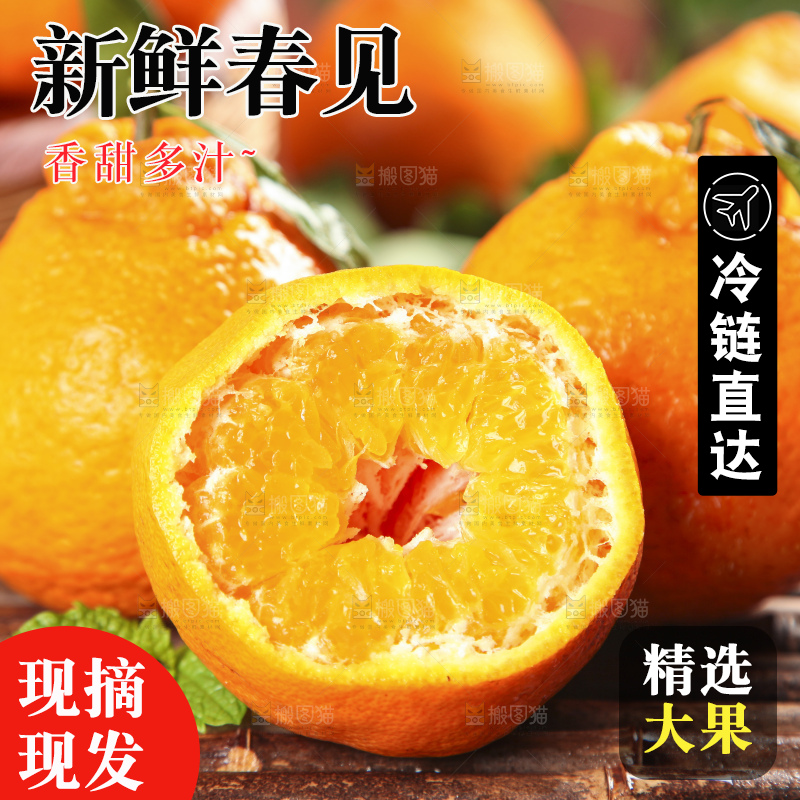 木板上的春见耙耙柑