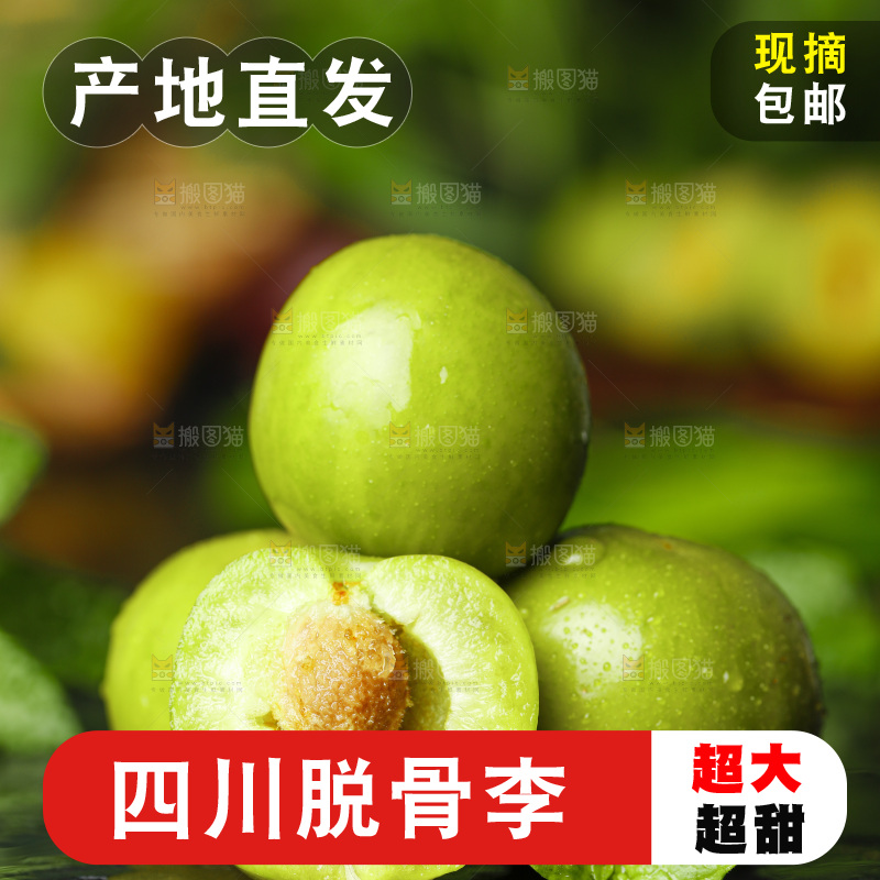 石板上的四川脱骨李子