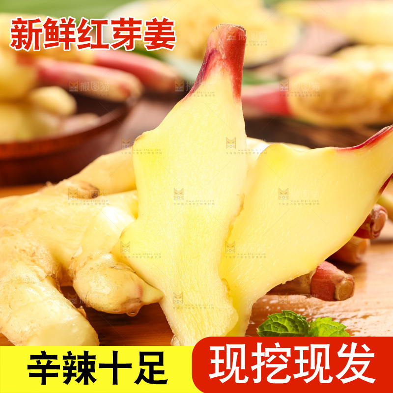 木板上的山东红芽生姜