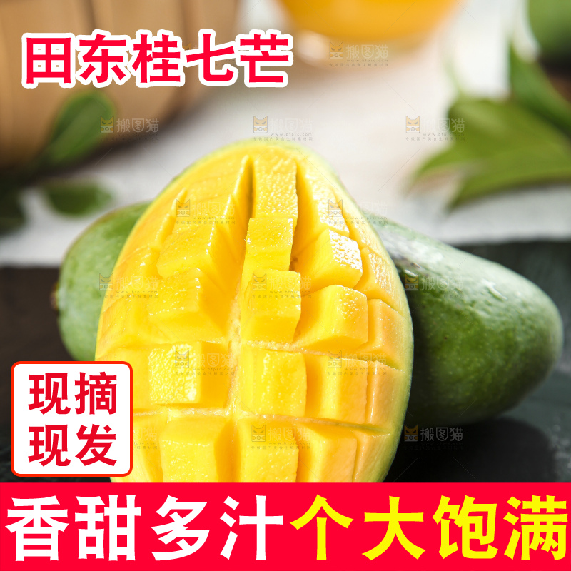 石板上的青皮桂七芒