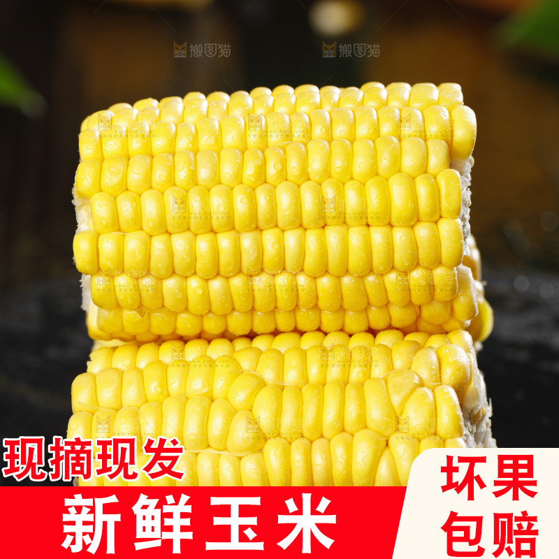 黑石板上的东北玉米
