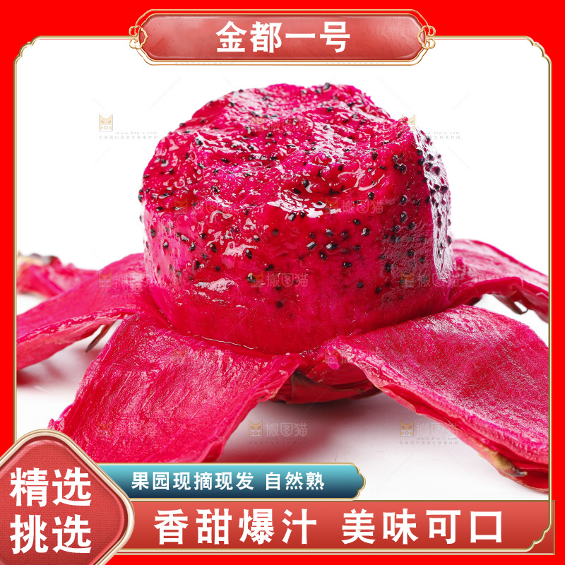 白底上摆放着金都一号火龙果