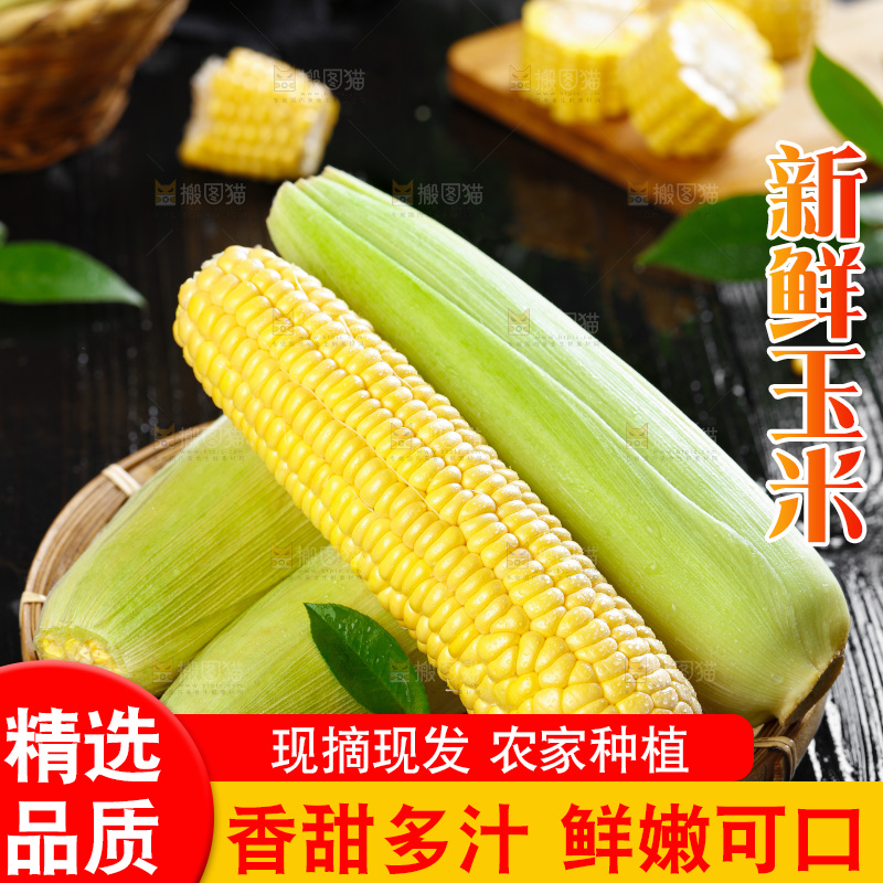 篮子子装着玉米棒