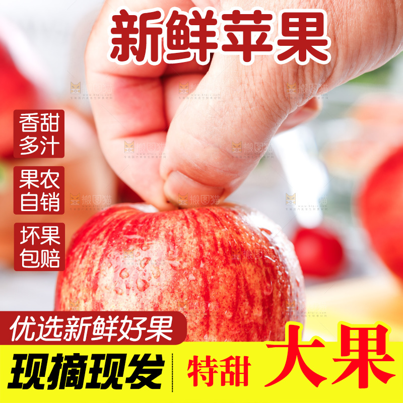 石板上摆着山东红富士