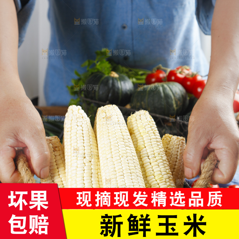 桶里装着牛奶玉米