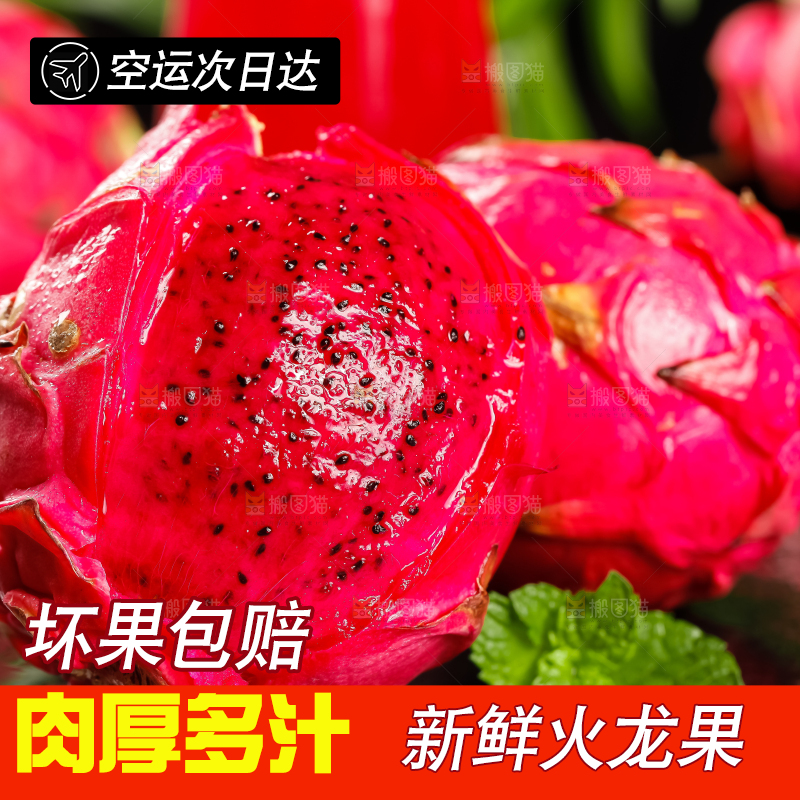 深底上的金都一号红心火龙果