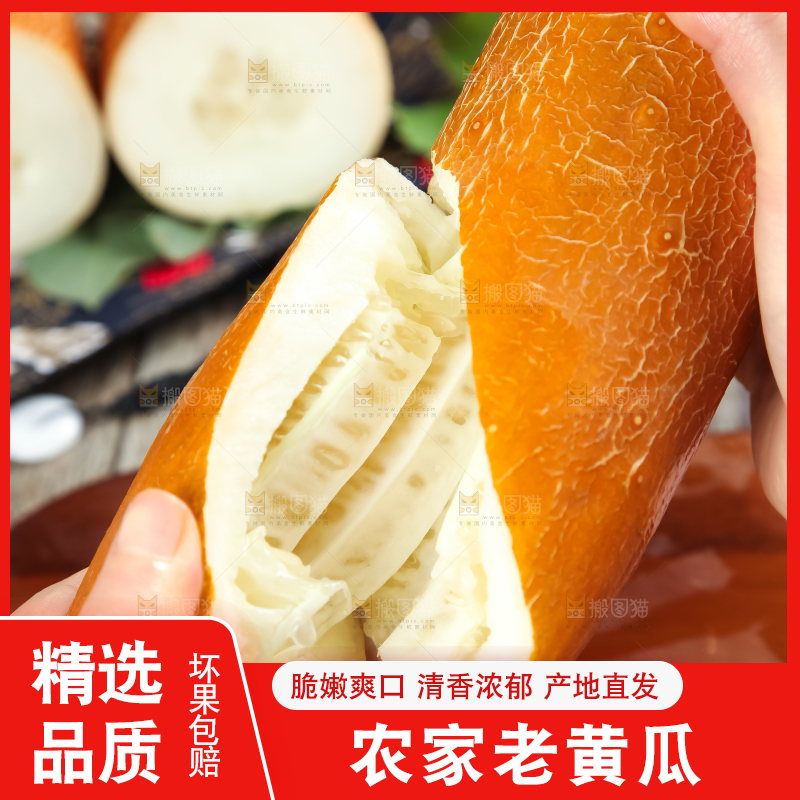 深底上放着老黄瓜